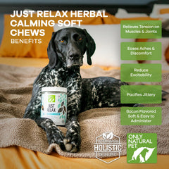 Chien détendu après une dose de Just Relax, routine simple et naturelle.