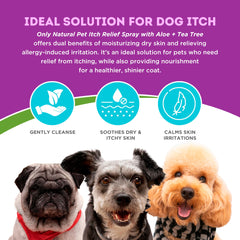 Only Natural Pet – pelage hydraté chien, effet nourrissant.