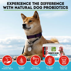 Only Natural Pet Probiotique gout bacon des friandises appetees pour chiens et chats.