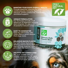 Only Natural Pet soutien immunitaire pour chiens, image montrant une friandise.