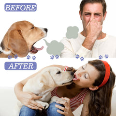 OntumLeafis: spray d'application rapide sans brossage pour animaux.