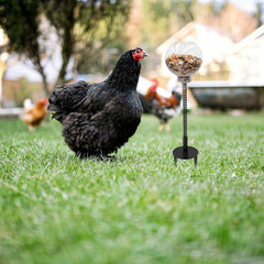 Oooct alimentation lente; favorise une ingestion plus mesurée.