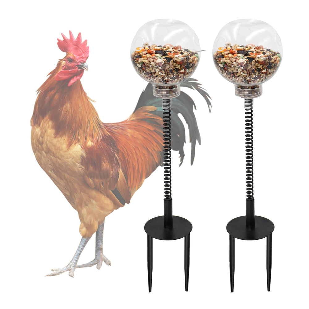 Oooct balle transparente pour poules; enrichissement et stimulation du picorage.