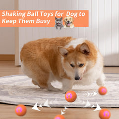 Balle OOXYG roulant sur sols variés pour chien actif