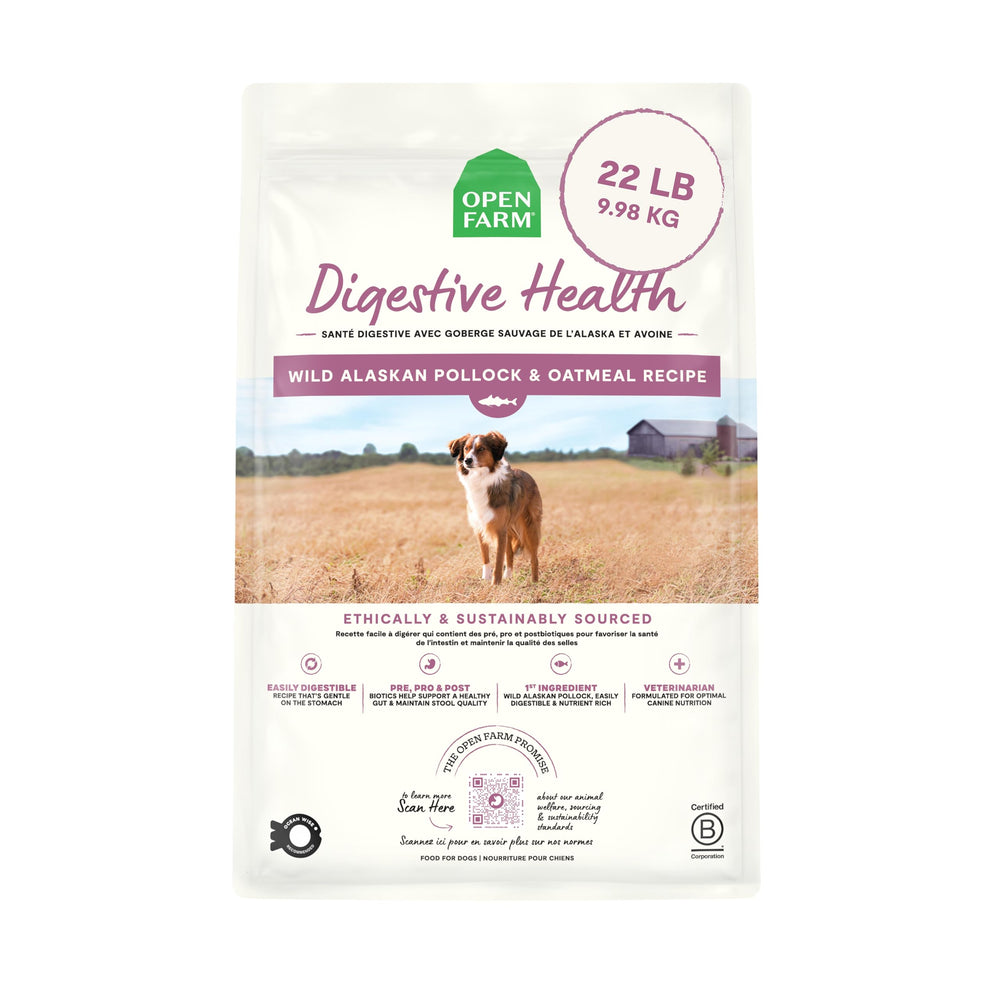 Open Farm Alimentation Chien Santé Digestive sac 22 lb, emballage visible.