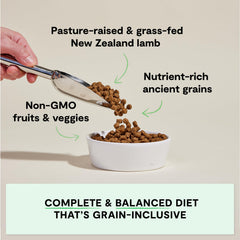 Open Farm ingrédients-grains-anciens-avoine-quinoa — repas nutritif et équilibré