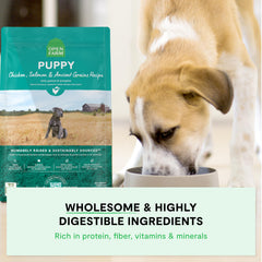 Open Farm chiots – sans additifs artificiels ni conservateurs