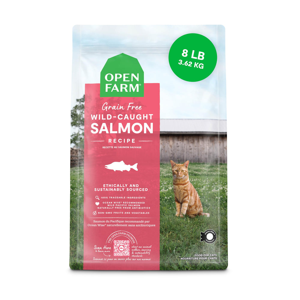 Open Farm saumon sauvage croquettes – protéines élevées pour chats actifs.