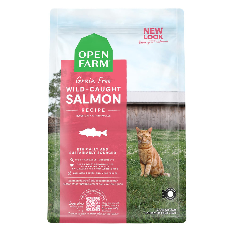 Open Farm saumon sauvage croquettes dans bol pour chat actif