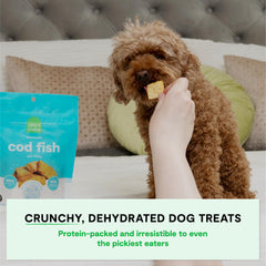 Open Farm tranches croquantes cabillaud sauvage, texture agréable pour chiens gourmands.