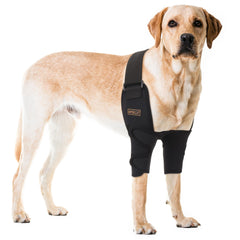 OPSELU protège-coude chien-avant, protection fiable pendant promenades et jeux.