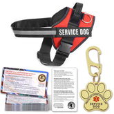 Opstin gilet chien service vest, sécurité accrue lors des sorties.