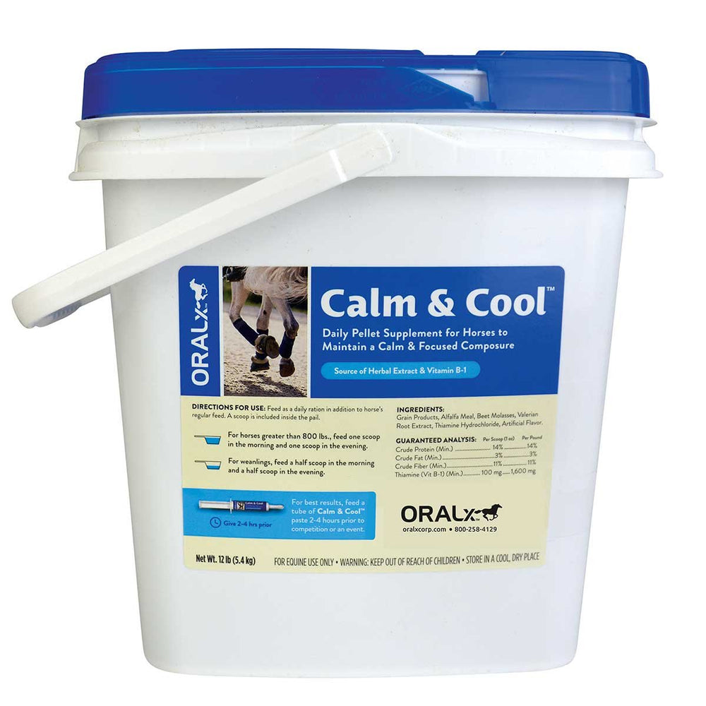 Granulés Oralx Calme et Frais pour chevaux, usage quotidien pour favoriser le calme et la préparation.