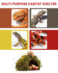 ORBIDYN montage simple, pas d’outils nécessaire pour terrarium.