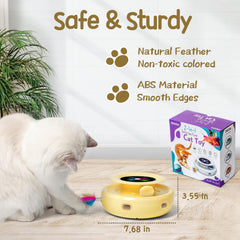 ORSDA plume violette et queue peluche: diversité damusements pour chat.