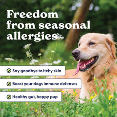 Origin Labs allergie-immunité, bouchée saveur dinde, équilibre intestinal et vitalité.