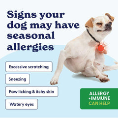 Origin Labs allergie-immunité, bouchée moelleuse, soutien peau et pelage.