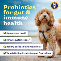 Ingrédients naturels Belly Buddies, prébiotiques et probiotiques équilibrés.