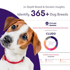 Tampon buccal ORIVET pour echantillon ADN chien pret a analyse