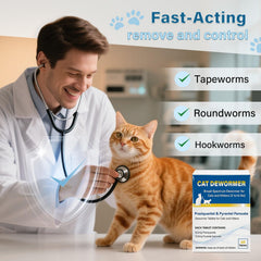 Emballage d'OthoKing, présentation claire pour chats et chatons.