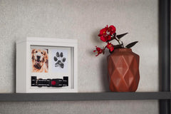 Dimensions de l urne OtterPets 8,5 x 8,5 x 5,75 pouces