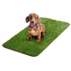 Ottomanson tapis herbe artificielle chiot 15x30 pour toilette réutilisable.