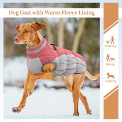 Manteau OUOBOB petit chien, fermeture arrière zippée sécurisée, enfiler facilement.