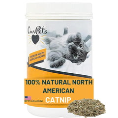 Catnip Our Pets dans le bocal premium ouvert, arôme attrayant