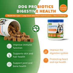 OurCares Gommes probiotiques pour chien, santé digestive douce.