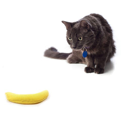 OurPets Cosmic Serpent: jouet chat captivant l'attention et la curiosité