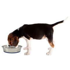Bol OurPets DuraPet base anti dérapante argentée évite les déplacements