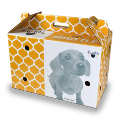 Navette OurPets en carton pour petits animaux assemblée, transport sûr et pratique.