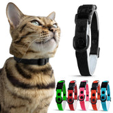 OutdoorBengal collier-chat-breakaway: fermeture sûre pour éviter l'accrochage.