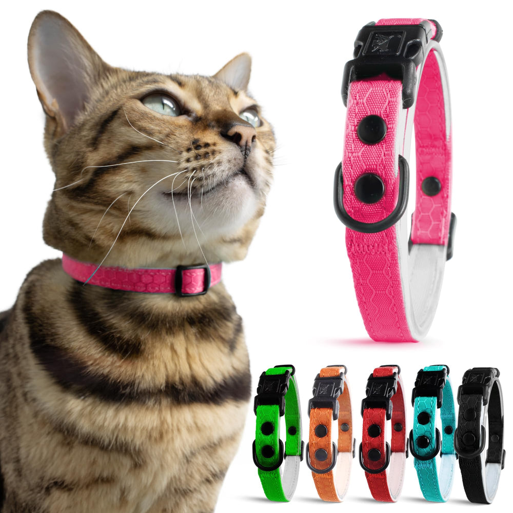 OutdoorBengal collier chat rose breakaway, sécurité rapide en cas d'accrochage.