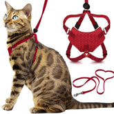 Harnais Houdini OutdoorBengal anti-evasion pour chat, sécurité renforcée en promenade.