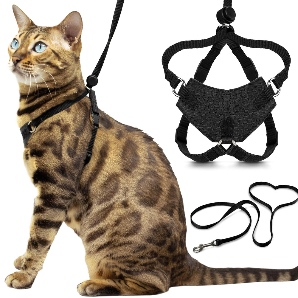 Harnais Houdini OutdoorBengal anti-fuite pour chats, sécurité accrue lors des sorties.