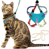 Harnais Houdini OutdoorBengal anti-fuite, sécurité renforcée pour chats explorateurs.