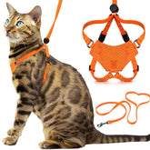 OutdoorBengal Houdini harnais-chat-orange-petit ensemble prêt pour promenade sécurisée