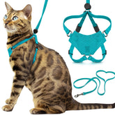 OutdoorBengal Houdini : harnais chat turquoise, sécurité du cou lors des promenades.
