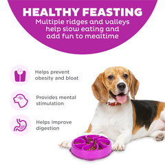 Outward Hound bol-slow-feeder-puzzle-profond-2-tasses – engagement prolongé pendant le dîner