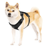 Outward Hound Boulder Harnais poches zippées, pratique pour friandises et clés.