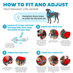 Outward Hound Dawson, sangles reglables, ajustement sûr pour tous les chiens.