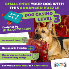 Outward Hound Dog Casino rotation os – activité olfactive et ludique.