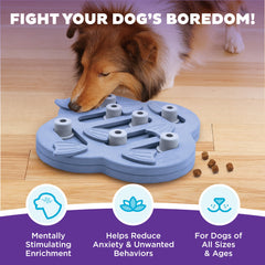Outward Hound Hide N' Slide tiroirs-cache incitant curiosité et résolution de problèmes.