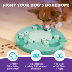 Outward Hound Dog Worker puzzle-roulette stimule la concentration et la découverte des récompenses.