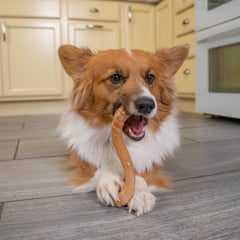 Outward Hound Dogwood – plusieurs tailles pour s’adapter à votre chien.