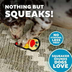 Outward Hound Durablez Mini Grelots Géants: sons excitants qui stimulent l’attention pendant le jeu.