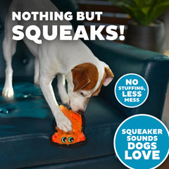 Outward Hound Durablez Minis, jouet interactif idéal pour petits chiens