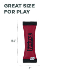 Outward Hound Firehose Fetch, jouet à couineur pour stimulation ludique.