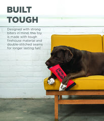 Outward Hound Firehose Fetch, chien robuste pour jeux de tirage supervisés.